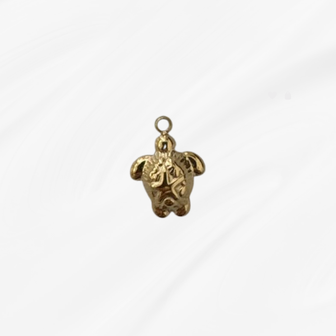 Charm Tortue